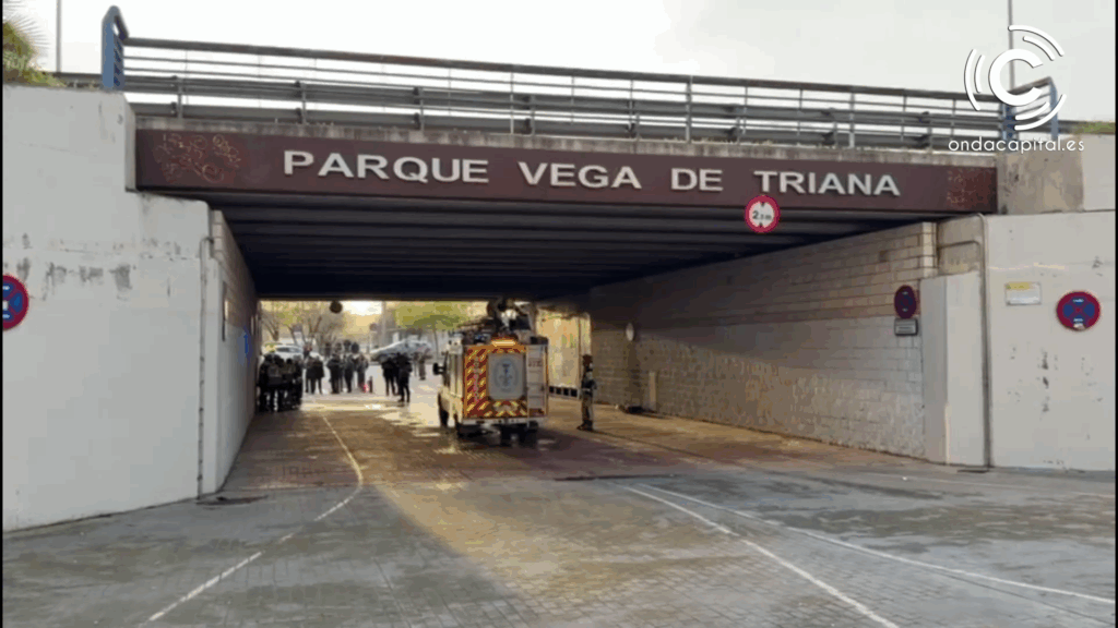 Peligro de desbordamiento del Río Guadalquivir Peligro de desbordamiento del Río Guadalquivir